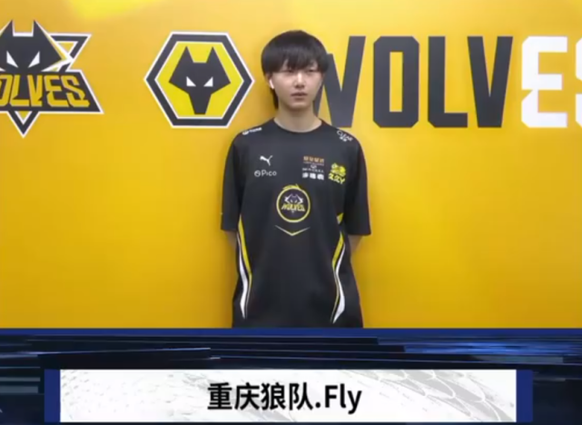 看起来像普 看起来像普